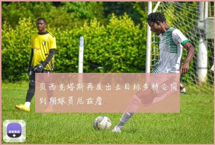 贝西克塔斯再度出击目标多特合同到期球员厄兹詹
