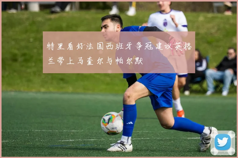 特里看好法国西班牙争冠建议英格兰带上马奎尔与帕尔默