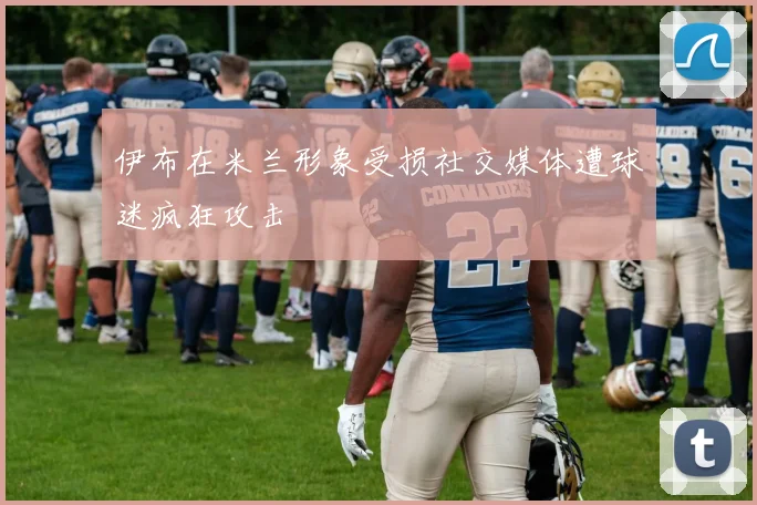伊布在米兰形象受损社交媒体遭球迷疯狂攻击